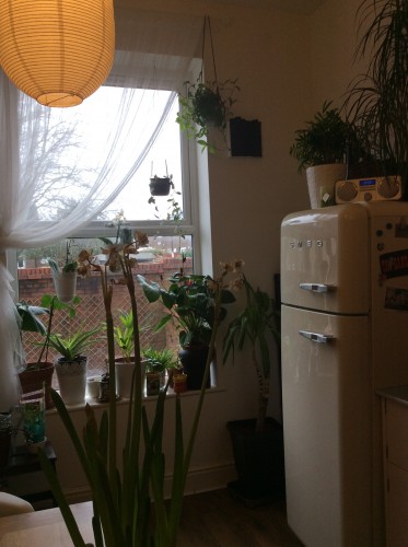 La cucina, foto di Gloria