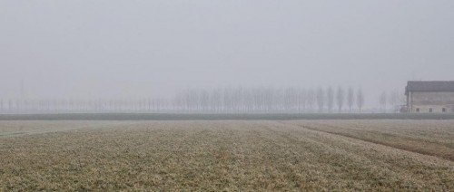 Nebbia in Emilia