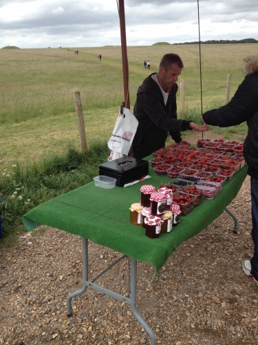 Vendita di fragole davati a Stonehenge 