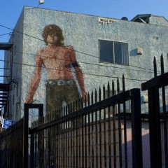 Da Santa Monica a Venice Beach sulle orme dei Doors