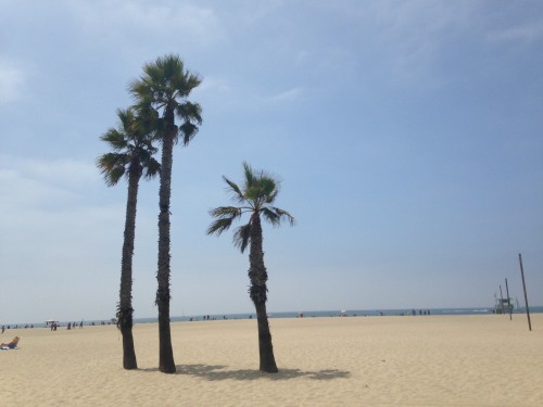 La spiaggia di Venice