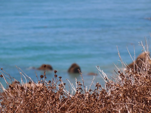 Big Sur, foto di Gloria