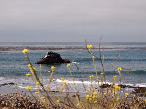 Big Sur, foto di Gloria