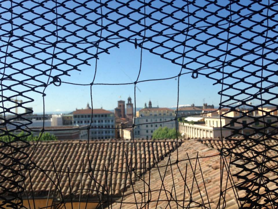 La mia città vista dall'alto Foto di Gloria Annovi