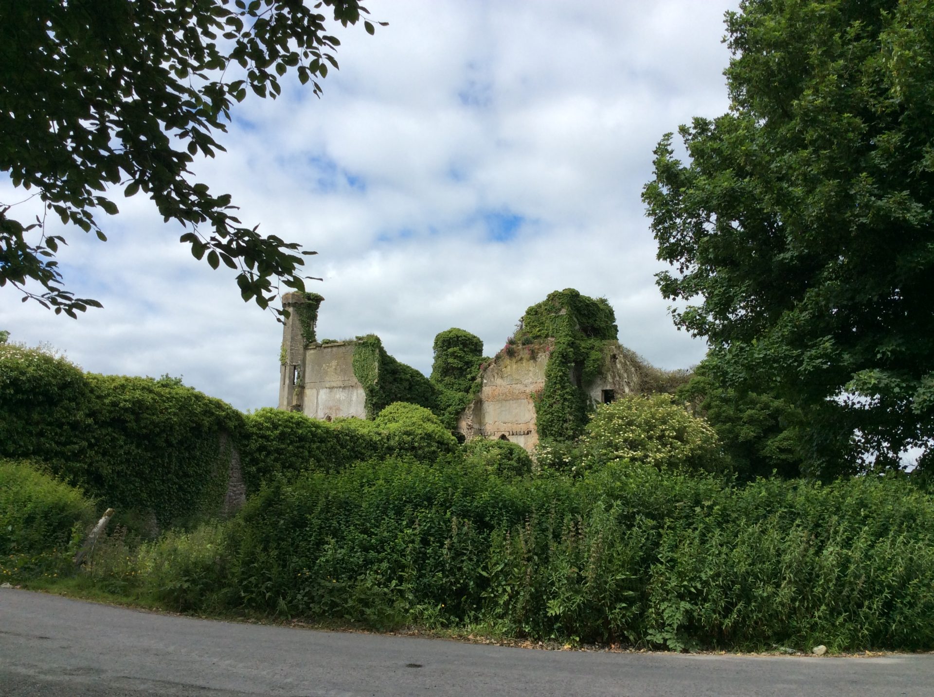 Il Castello visto da un lato