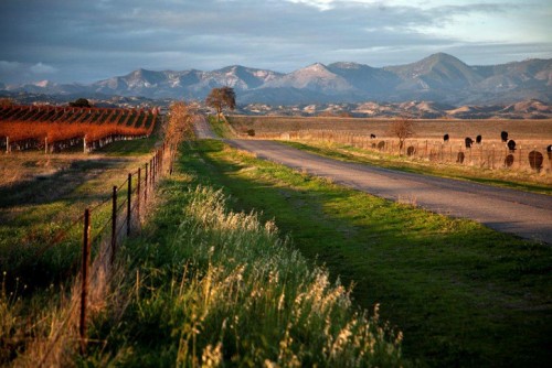 Santa Ynez Valley, credit www.careykendall.com