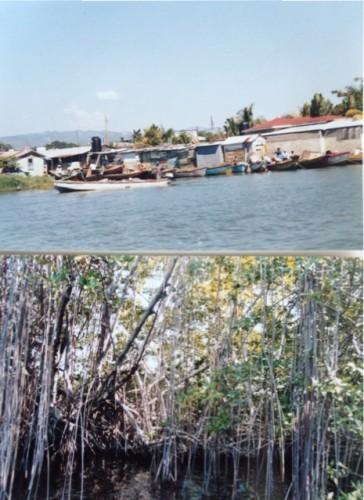 A caccia di coccodrilli sul fiume, foto di Gloria