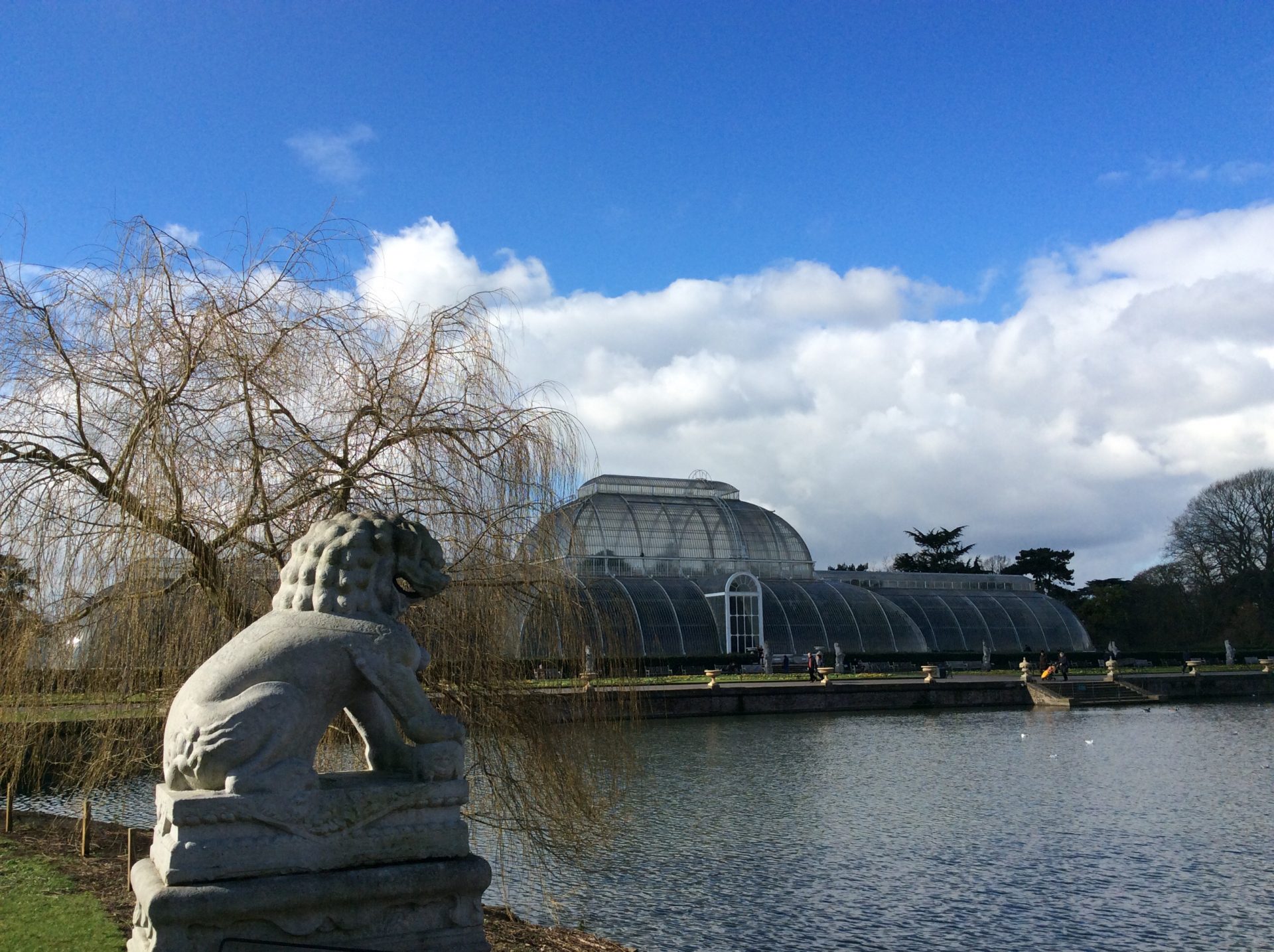 La famosa Palm house dei Kew Garden foto di Gloria