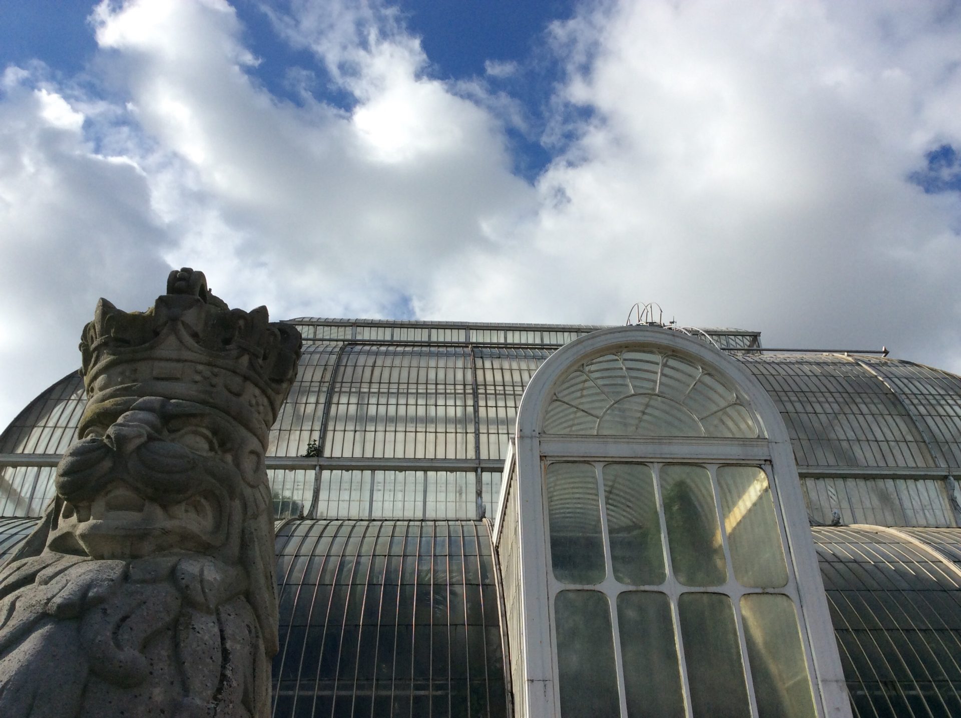 La Palm House, foto di Gloria