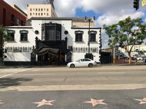 Walk of Fame, foto di Gloria