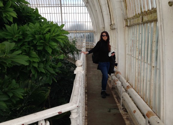 MUSICA ALL’ORTO BOTANICO E IN SERRA