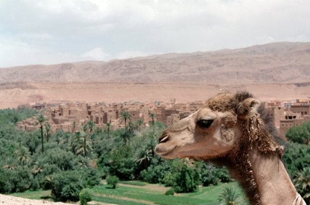 Ouarzazate, Marocco. Foto di Gian Maria Annovi