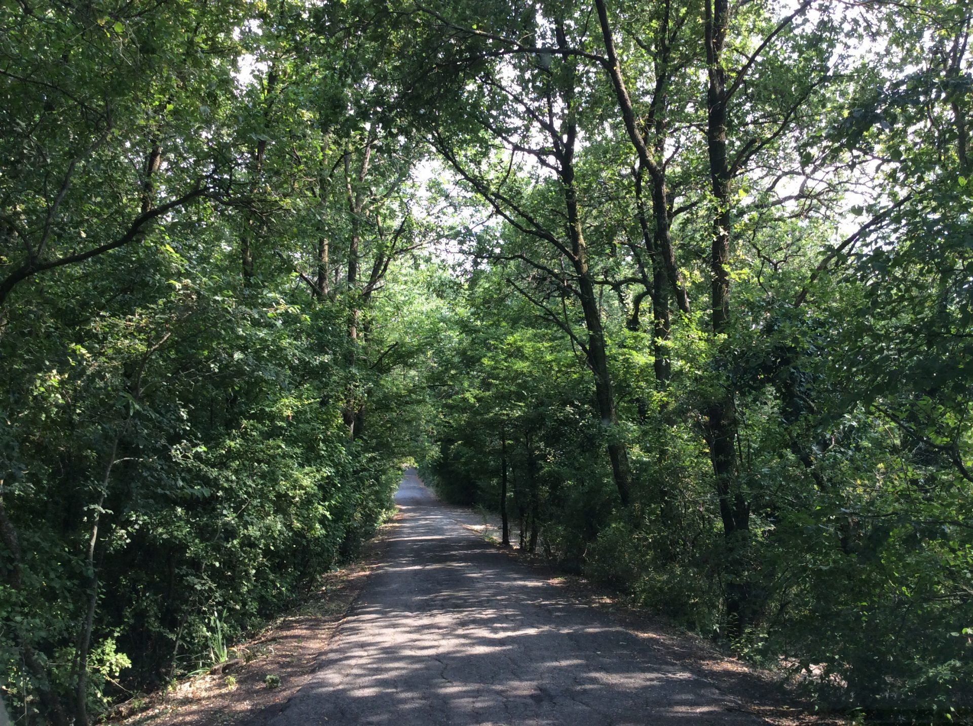 La strada che porta al cimitero 