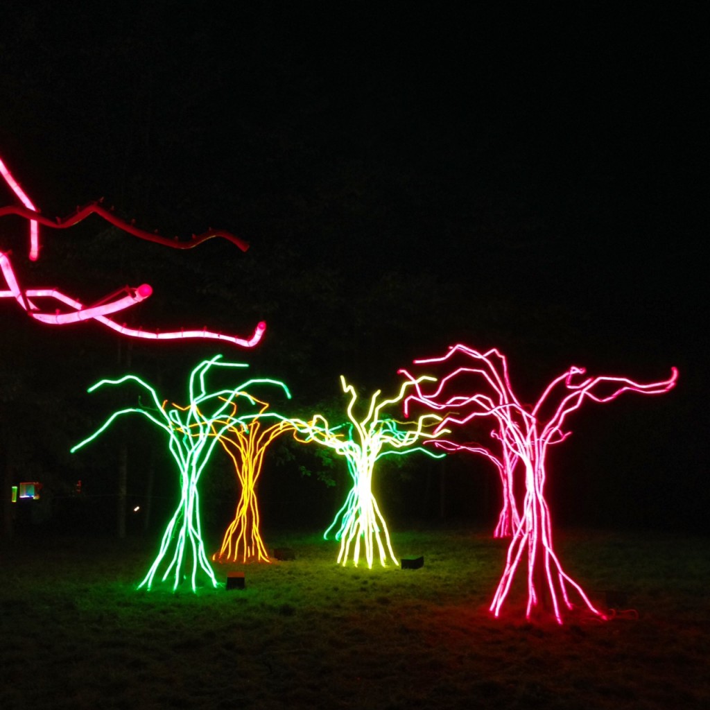 Installazione nel bosco, foto di Gloria