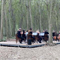 TUTTO SUL BUXUS CONSORT FESTIVAL, EVENTO DEDICATO AL MAESTRO EZIO BOSSO