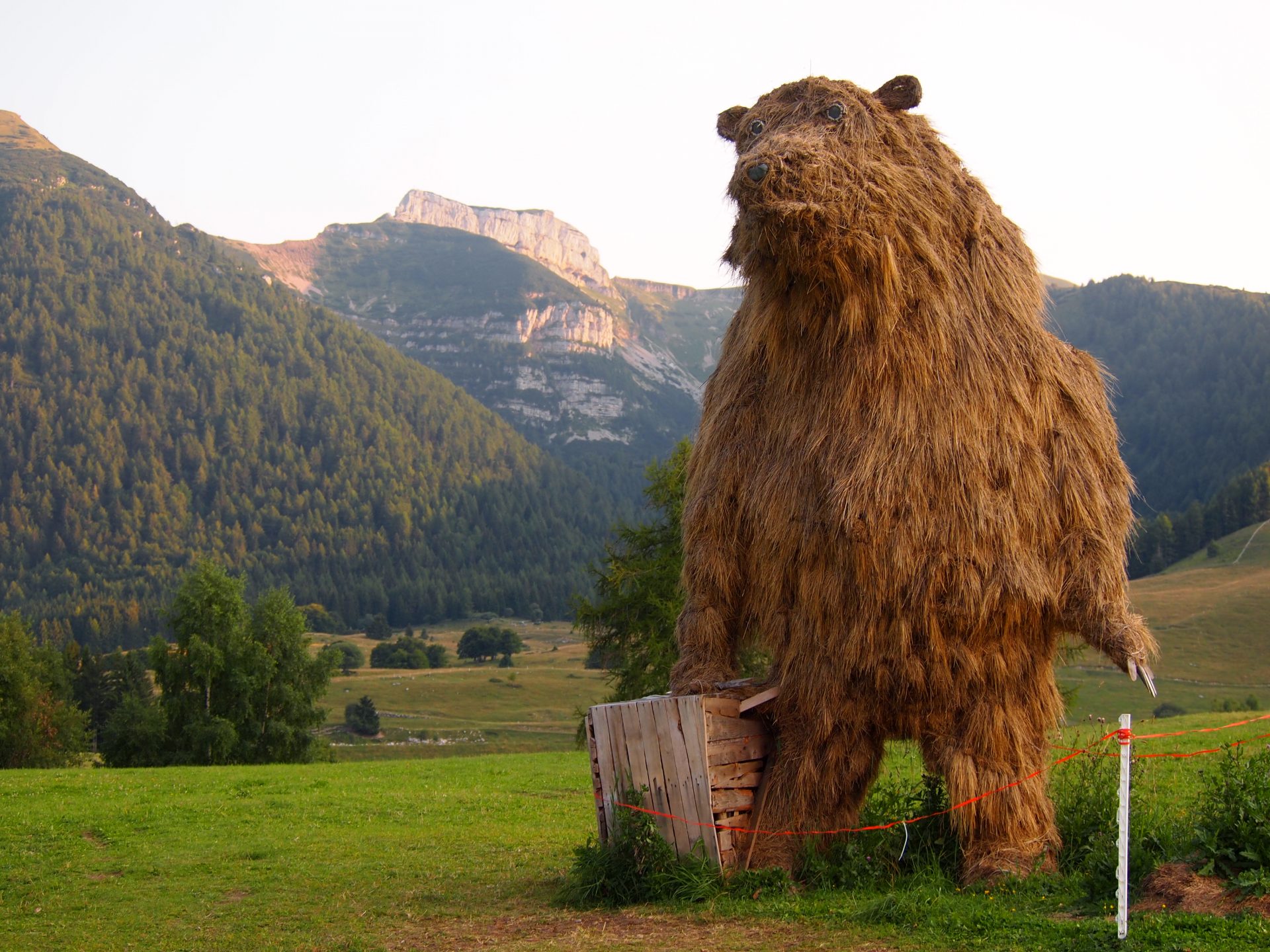 orso con valigia