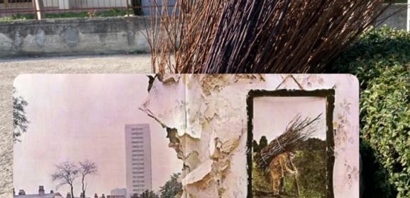 VIAGGIO DENTRO ALLA COPERTINA DI LED ZEPPELIN IV  (DA READING A LOS ANGELES)