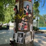 UN ALBERO DEDICATO A MICHAEL JACKSON A BUDAPEST